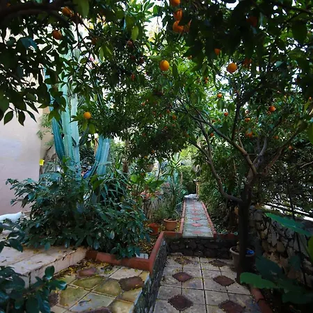 Savannah * Marmaris